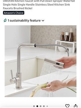 Brushed Stainless Pull-Down Kitchen Faucet - Single Handle